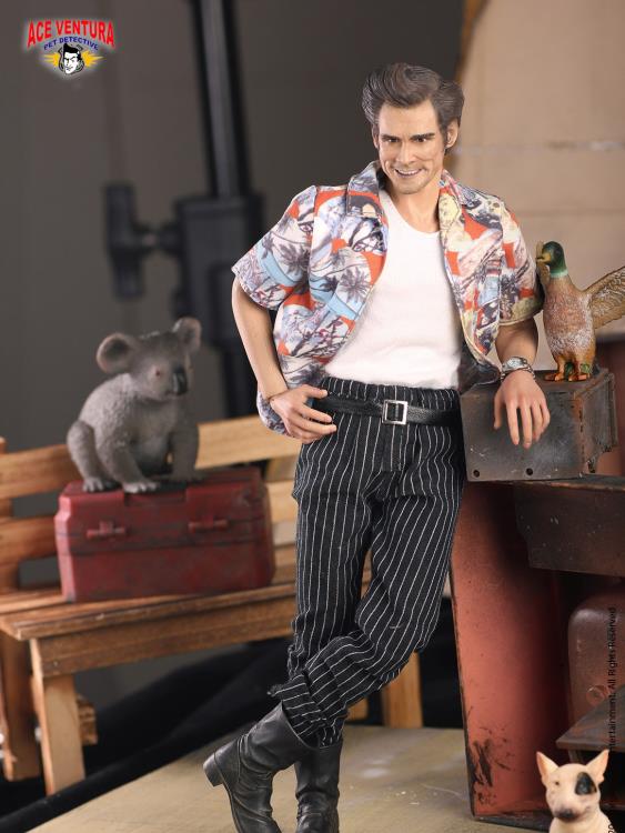Ace Ventura: Pet Detective Ace Ventura 1/6 Scale Figure Gallery Image 4