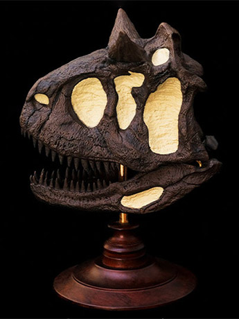 Rebor Oddities Fossil Studies Carnotaurus Sastrei Museum Class Skull Replica Gallery Image 2