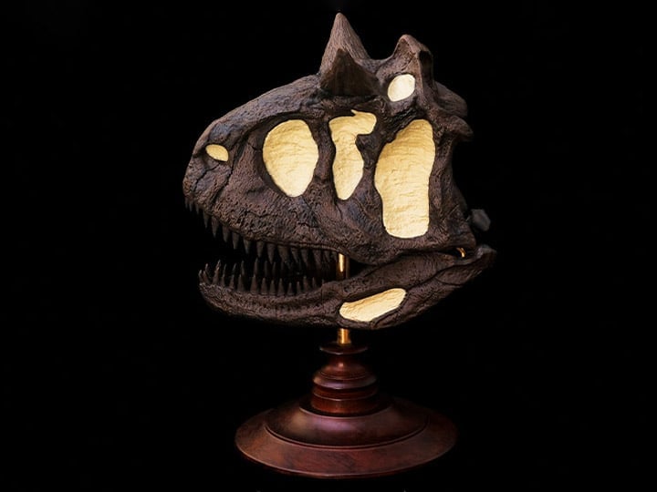 Rebor Oddities Fossil Studies Carnotaurus Sastrei Museum Class Skull Replica Gallery Image 1