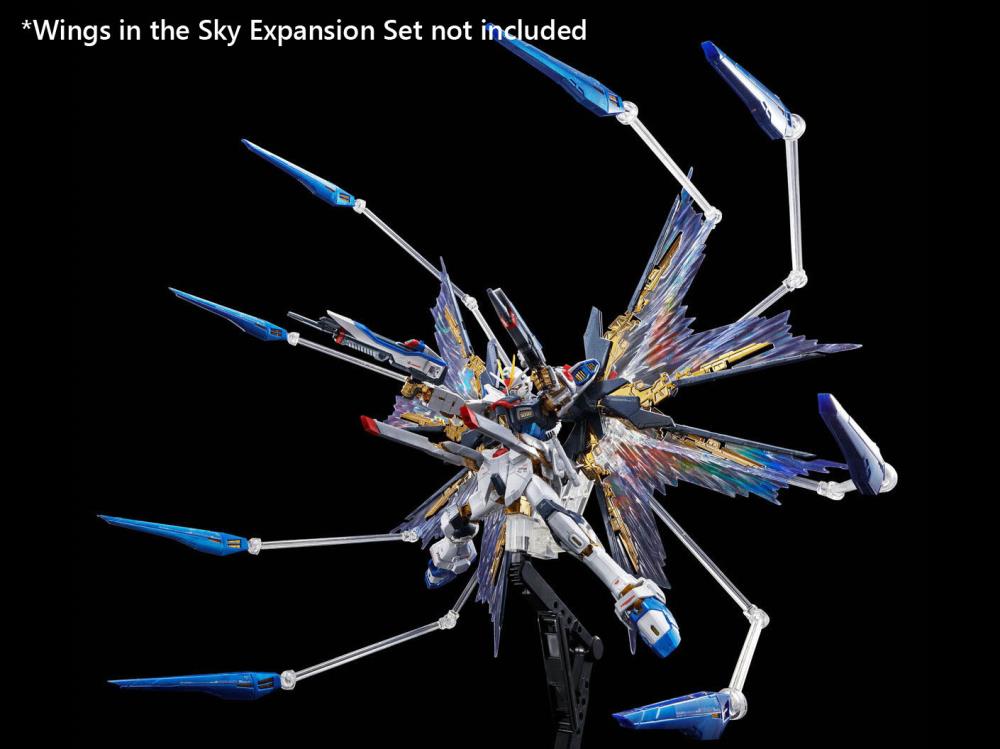 Mobile Suit Gundam SEED Destiny RG Strike Freedom Gundam (Titanium Finish) 1/144 Scale Exclusive Model Kit Gallery Image 9