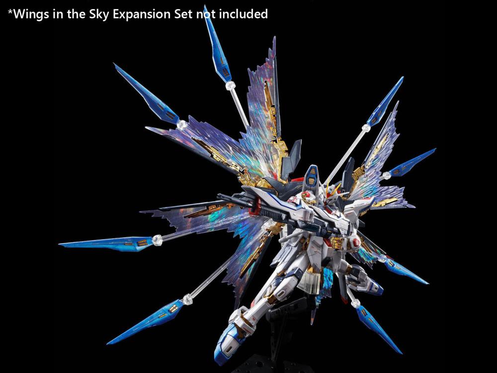 Mobile Suit Gundam SEED Destiny RG Strike Freedom Gundam (Titanium Finish) 1/144 Scale Exclusive Model Kit Gallery Image 8
