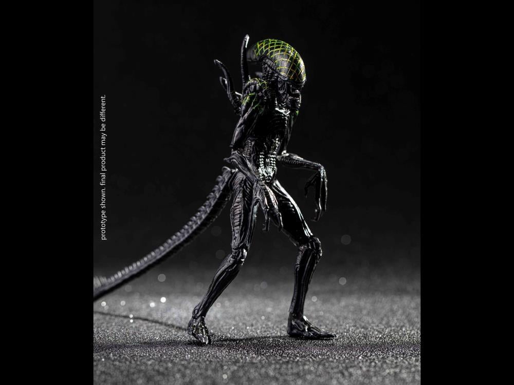 Alien vs. Predator Grid Alien 1:18 Scale PX Previews Exclusive Figure Gallery Image 9