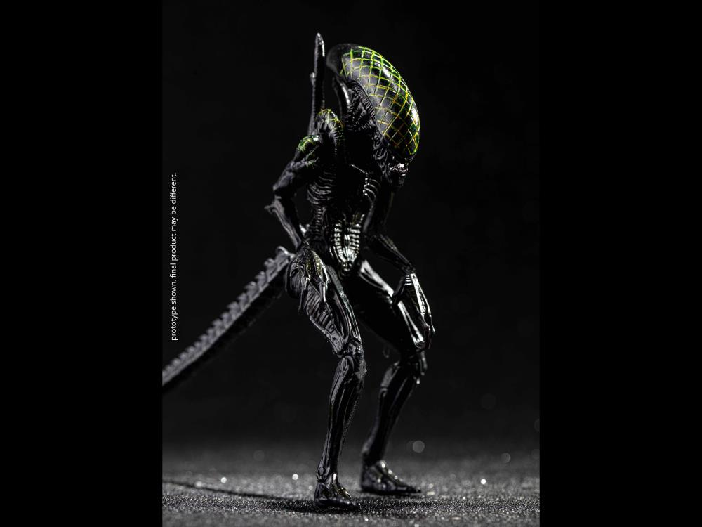 Alien vs. Predator Grid Alien 1:18 Scale PX Previews Exclusive Figure Gallery Image 4