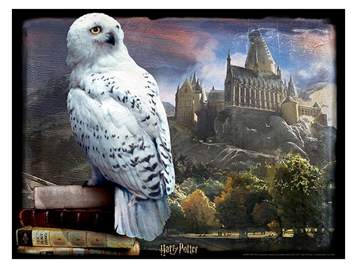 Harry Potter Hedwig Lenticular 300-Piece 3D Puzzle Gallery Image 1