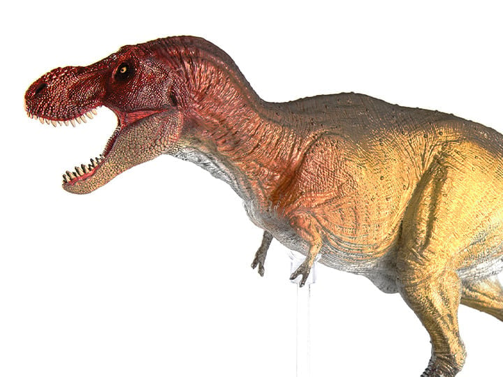 Rebor Grab N Go 03 SA Tyrannosaurus Rex (Type B) 1/35 Scale Replica