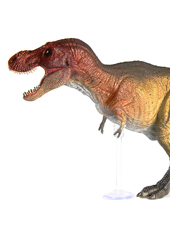 Rebor Grab N Go 03 SA Tyrannosaurus Rex (Type B) 1/35 Scale Replica