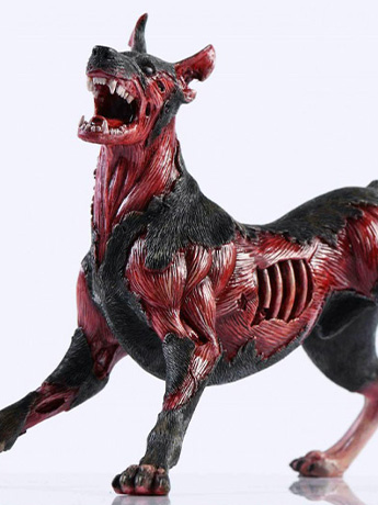 Bio-Crisis Zombie Dog 1/6 Scale Figure Gallery Image 2