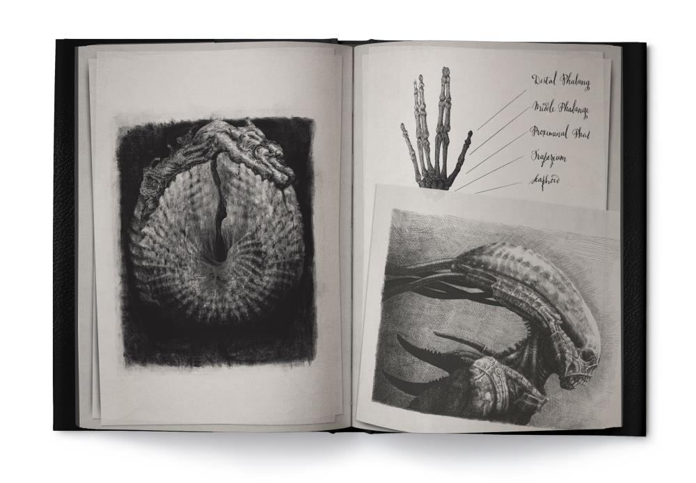 Alien Covenant: David's Drawings Gallery Image 10
