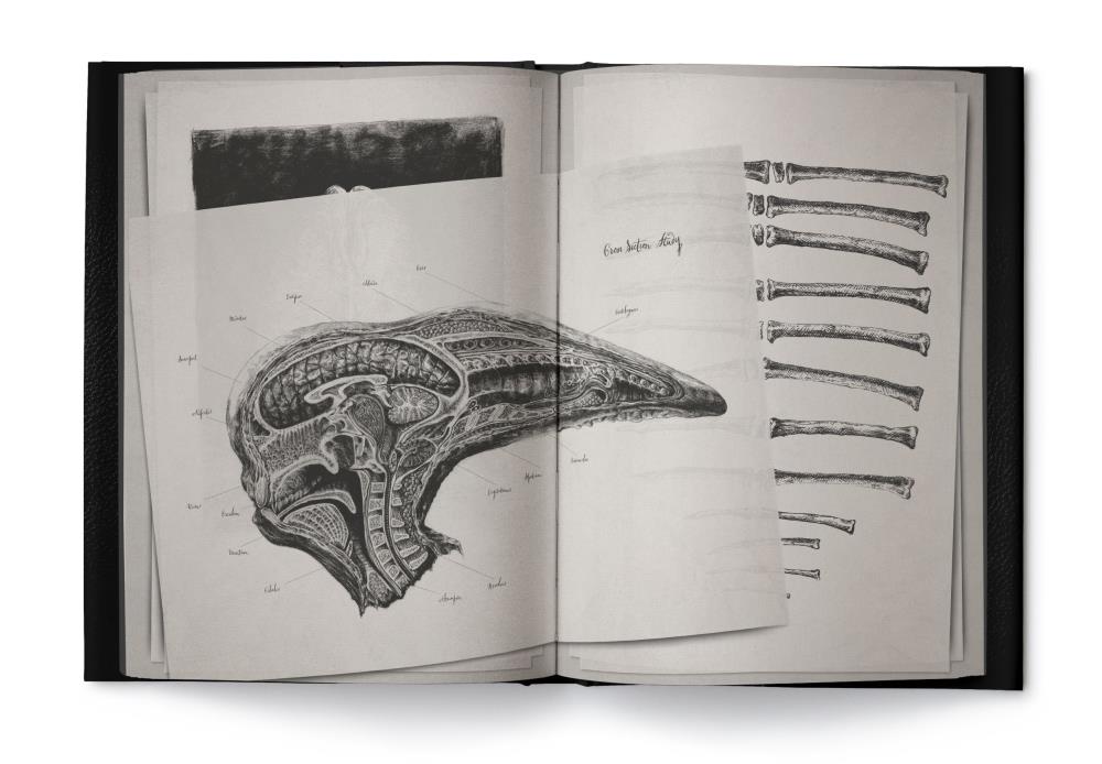Alien Covenant: David's Drawings Gallery Image 7