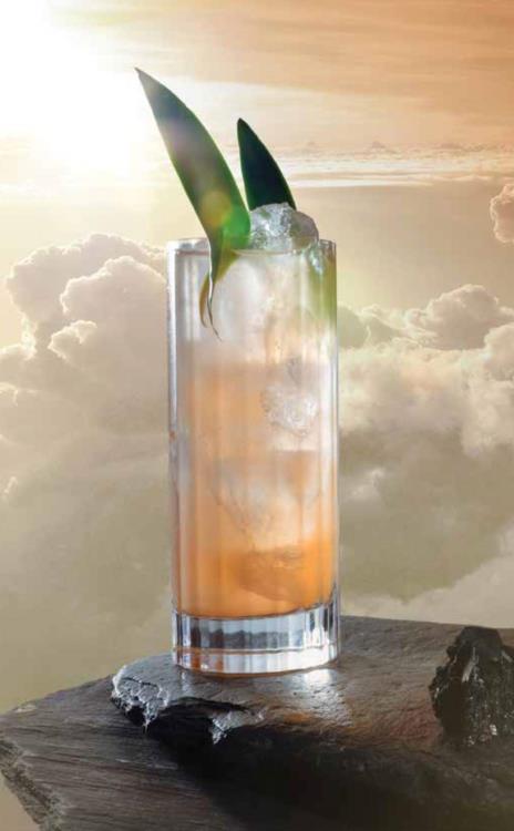 Star Trek Cocktails: A Stellar Compendium Gallery Image 4