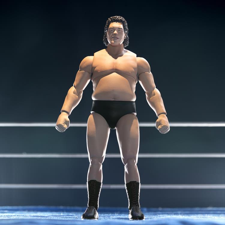 Andre The Giant (Robe Ver.) ULTIMATES! Limited Edition Figure Gallery Image 5