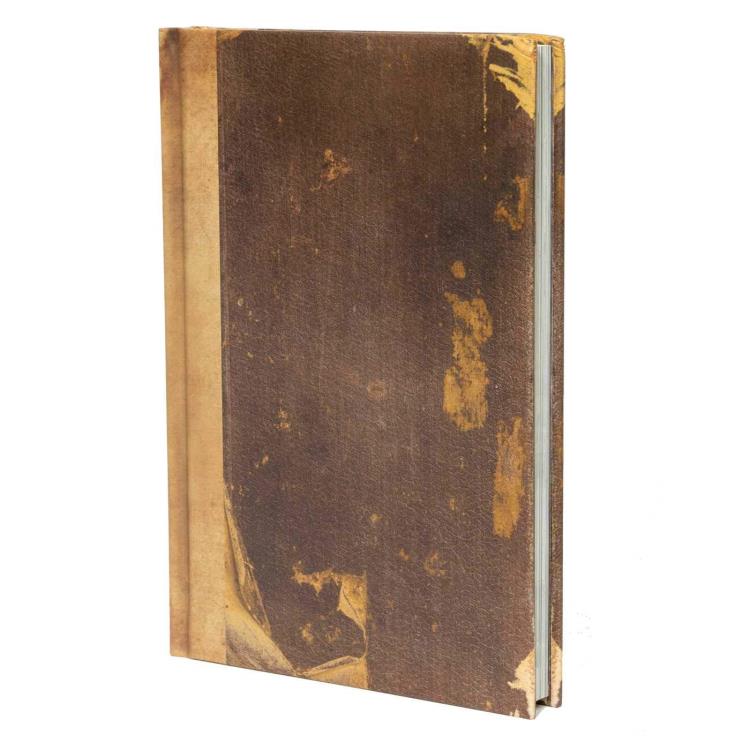 Scary Stories to Tell in the Dark: The Haunted Notebook of Sarah Bellows Gallery Image 7