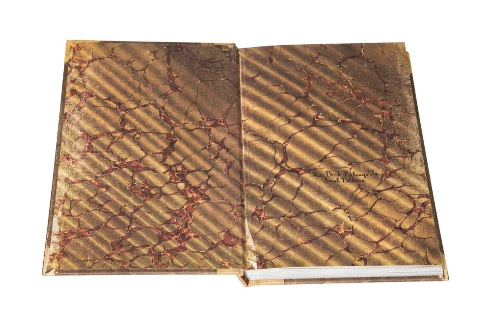 Scary Stories to Tell in the Dark: The Haunted Notebook of Sarah Bellows Gallery Image 5