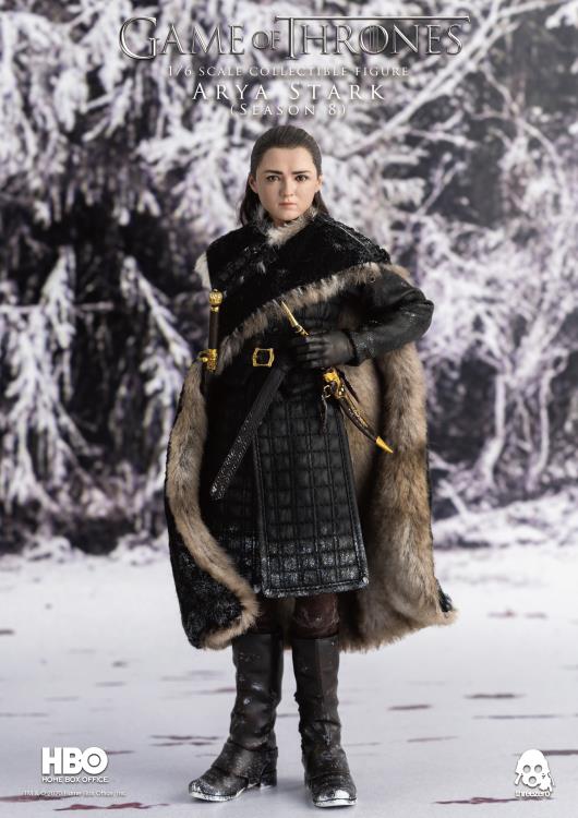 Game of Thrones Arya Stark (Season 8) 1/6 Scale Figure Gallery Image 3