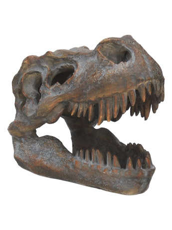 Tyrannosaurus Rex Skull Figurine Gallery Image 2