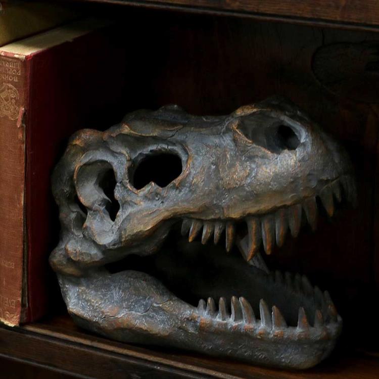 Tyrannosaurus Rex Skull Figurine Gallery Image 8