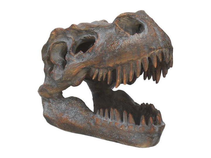 Tyrannosaurus Rex Skull Figurine Gallery Image 1