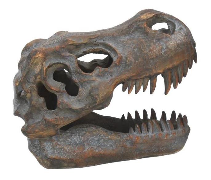 Tyrannosaurus Rex Skull Figurine Gallery Image 5