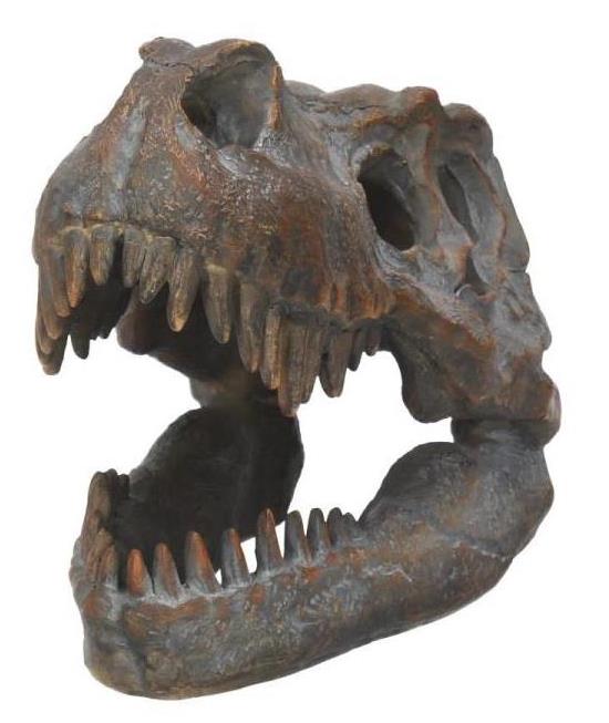Tyrannosaurus Rex Skull Figurine Gallery Image 3