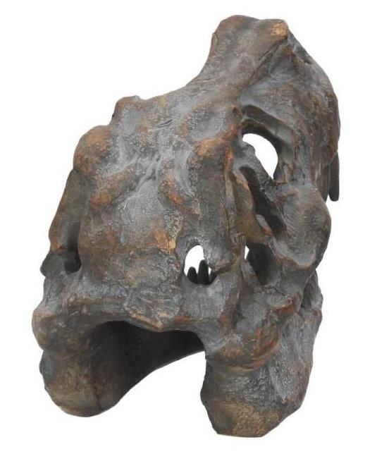 Tyrannosaurus Rex Skull Figurine Gallery Image 7