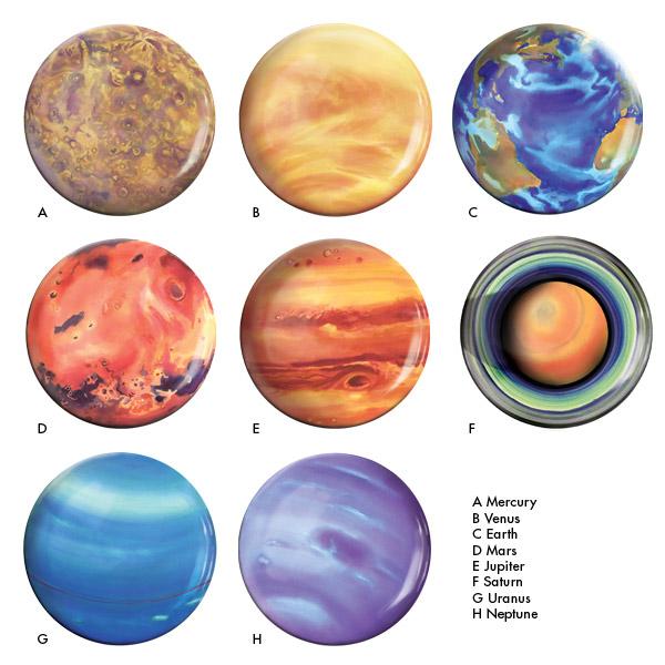 Planet Plates 8-Pack Gallery Image 4