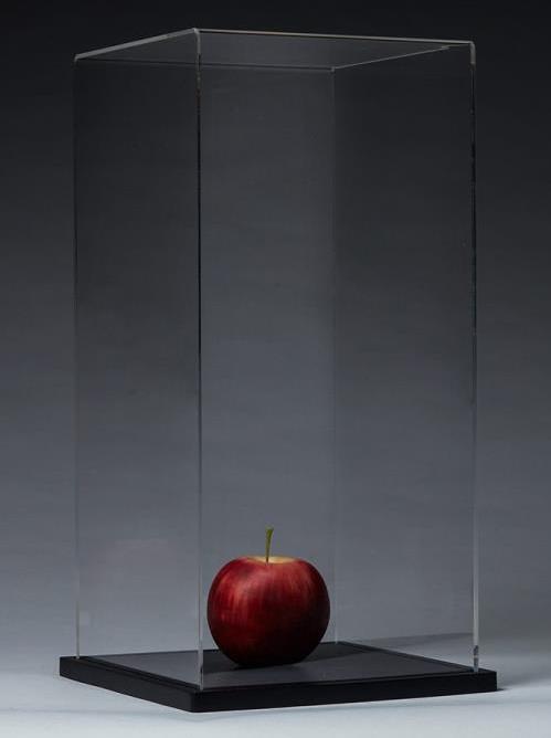 Acrylic Display Case Gallery Image 3