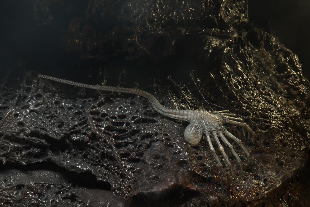 Alien 40th Anniversary Series 16 Set of 3 Figures Gallery Image 28