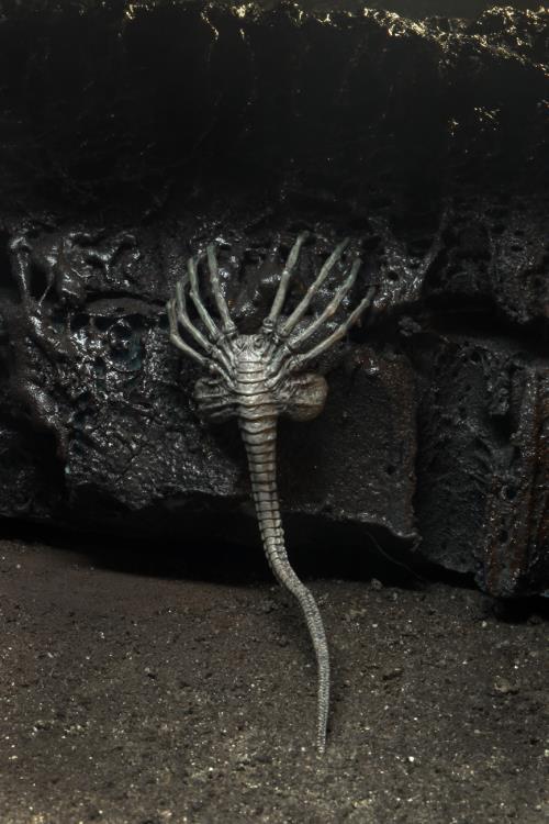 Alien 40th Anniversary Series 16 Set of 3 Figures Gallery Image 29