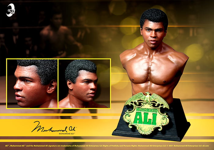 Muhammad Ali 1/6 Scale Collectible Bust Gallery Image 4