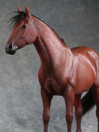 Thoroughbreds 1/6 Scale Horse (Brown) Gallery Image 2