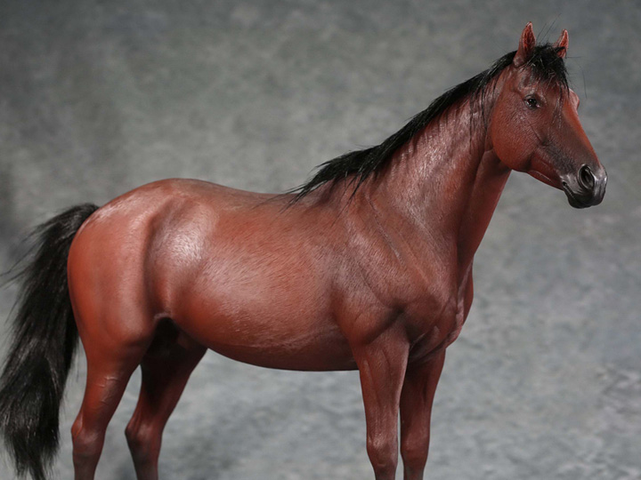 Thoroughbreds 1/6 Scale Horse (Brown) Gallery Image 1