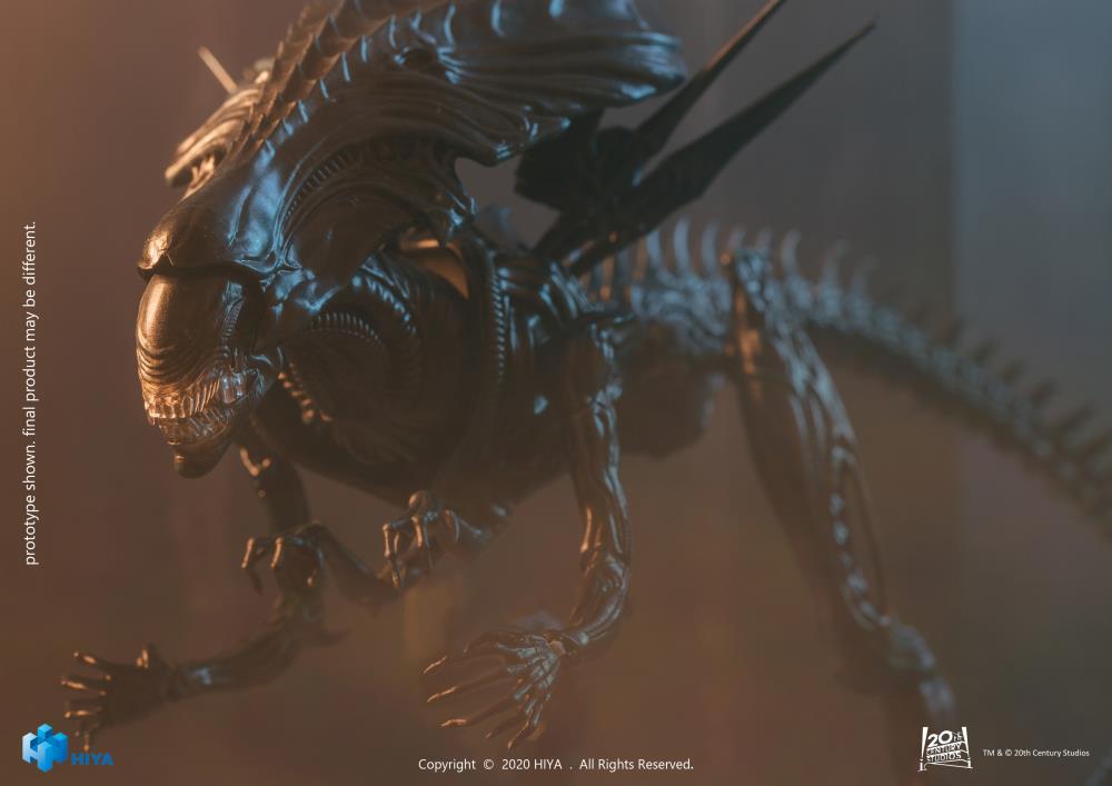 Alien vs. Predator Alien Queen 1:18 Scale PX Previews Exclusive Figure Gallery Image 6
