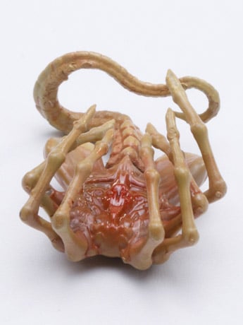 Alien Alien Egg & Facehugger 1/18 Scale PX Previews Exclusive Set Gallery Image 11