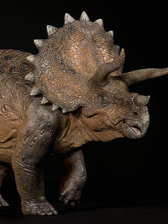 邦楽 TRICERATOPS / TRICERATOPS Jurassic Series Triceratops (Original Ver.) 1/35 Scale Figure