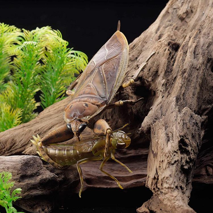 Revoltech RevoGeo Lethocerus deyrollei (Giant Water Bug) Gallery Image 18
