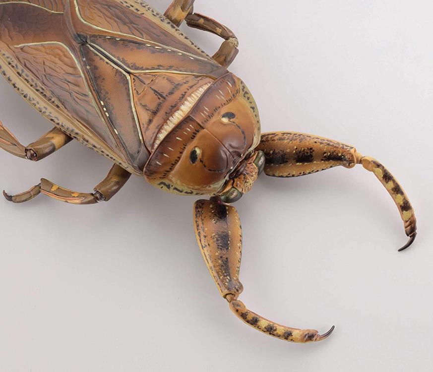 Revoltech RevoGeo Lethocerus deyrollei (Giant Water Bug) Gallery Image 13