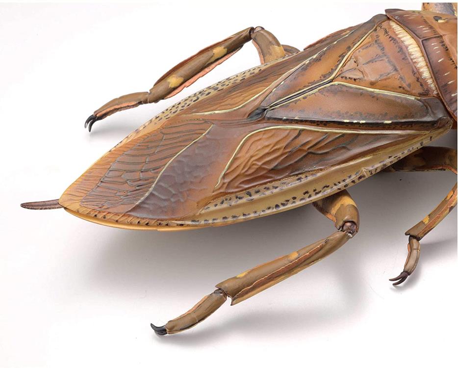 Revoltech RevoGeo Lethocerus deyrollei (Giant Water Bug) Gallery Image 14