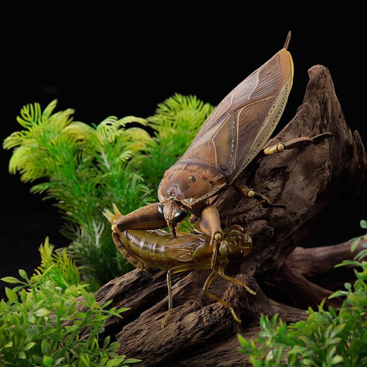 Revoltech RevoGeo Lethocerus deyrollei (Giant Water Bug) Gallery Image 19