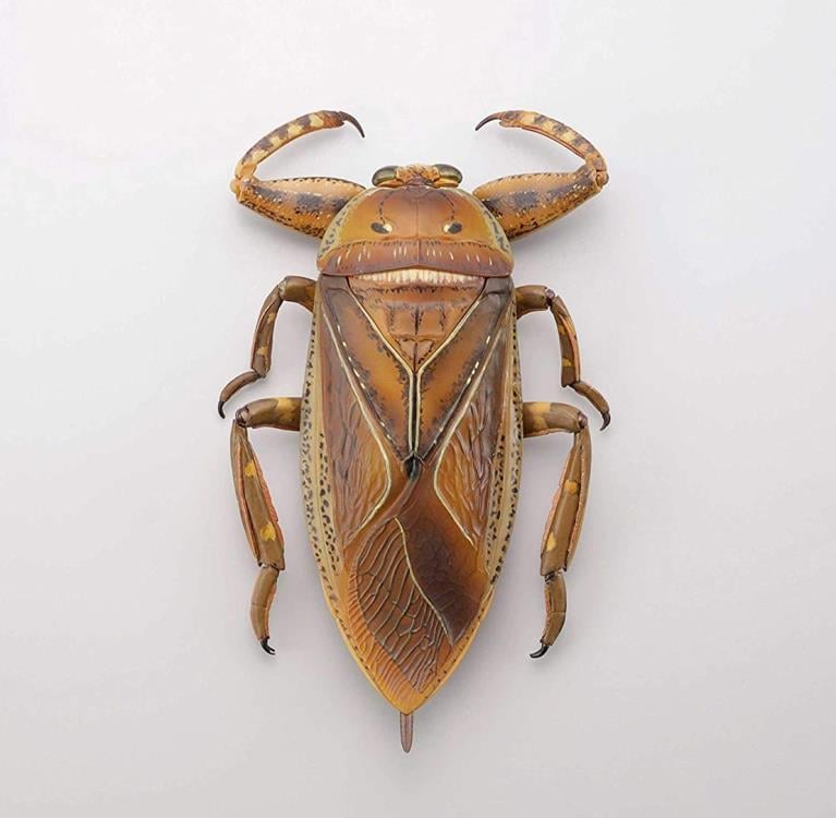 Revoltech RevoGeo Lethocerus deyrollei (Giant Water Bug) Gallery Image 3