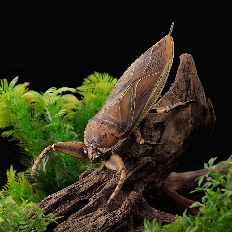Revoltech RevoGeo Lethocerus deyrollei (Giant Water Bug) Gallery Image 17
