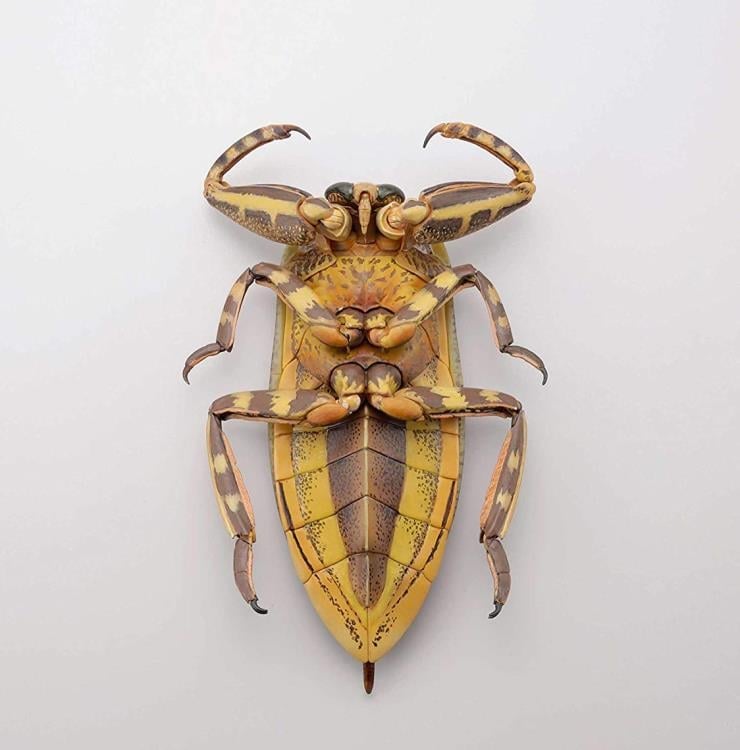 Revoltech RevoGeo Lethocerus deyrollei (Giant Water Bug) Gallery Image 4