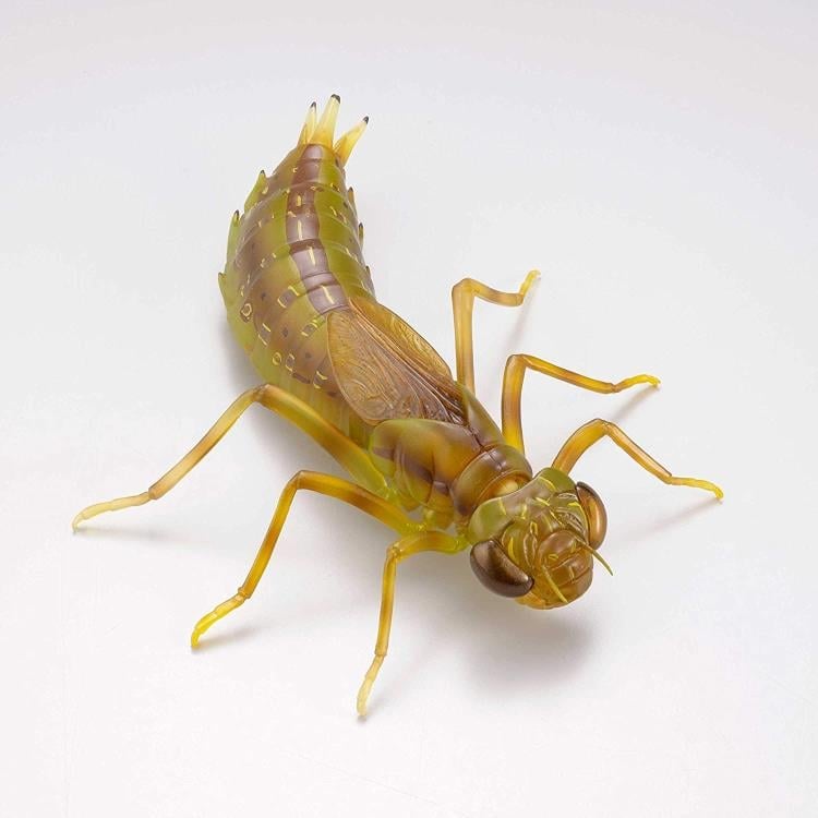 Revoltech RevoGeo Lethocerus deyrollei (Giant Water Bug) Gallery Image 15