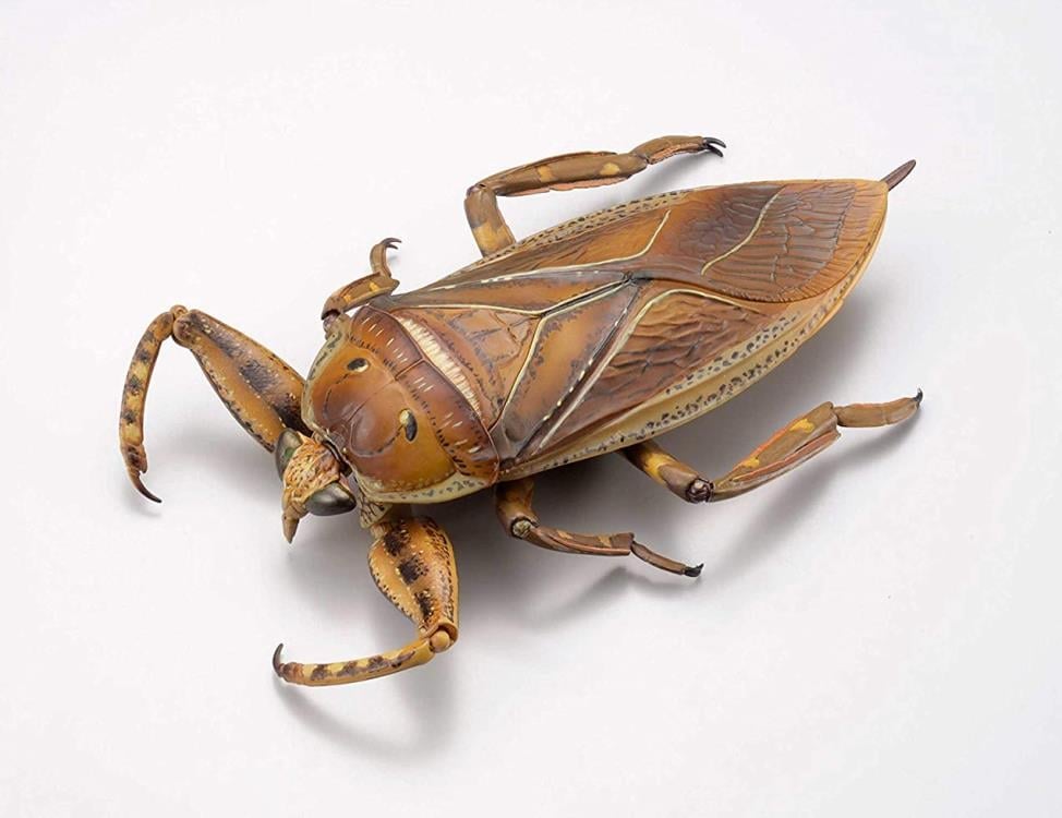 Revoltech RevoGeo Lethocerus deyrollei (Giant Water Bug) Gallery Image 5