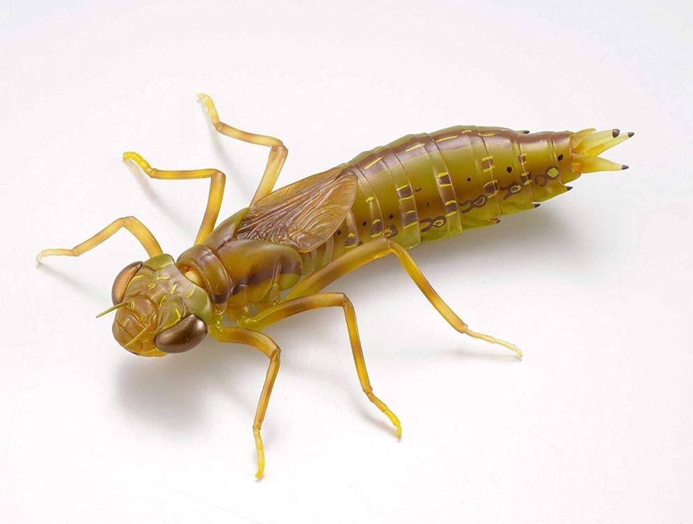 Revoltech RevoGeo Lethocerus deyrollei (Giant Water Bug) Gallery Image 16