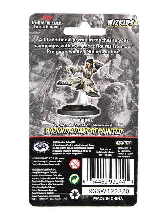 Dungeons & Dragons Icons of the Realms Human Monk (Female) Premium Painted Figure Gallery Image 5