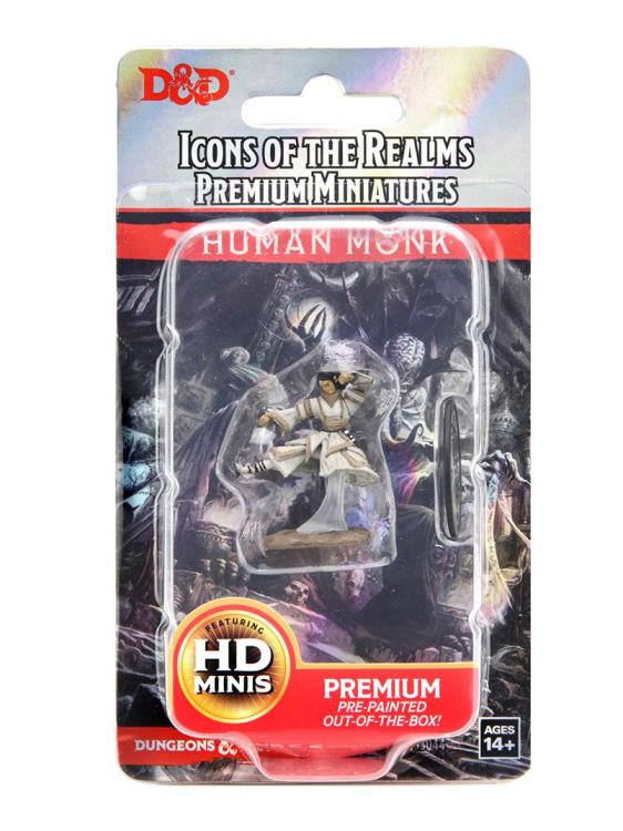 Dungeons & Dragons Icons of the Realms Human Monk (Female) Premium Painted Figure Gallery Image 4