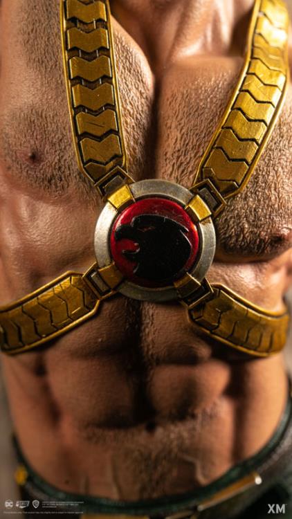 DC Rebirth Premium Collectibles Hawkman 1/6 Scale Limited Edition Statue Gallery Image 15