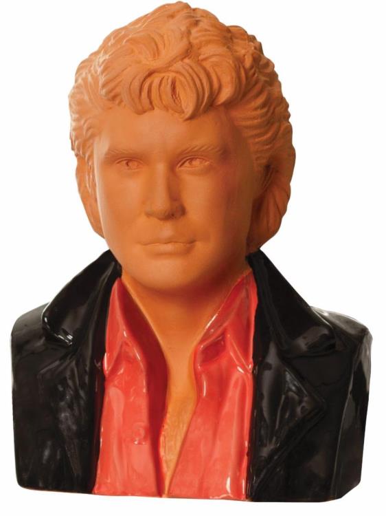 David Hasselhoff Chia Pet Gallery Image 4
