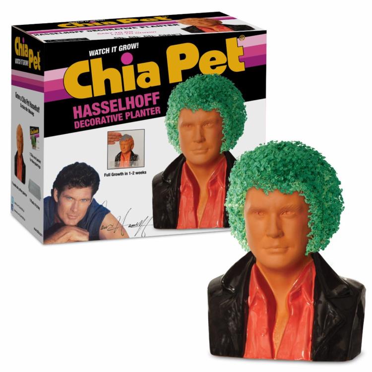 David Hasselhoff Chia Pet Gallery Image 3