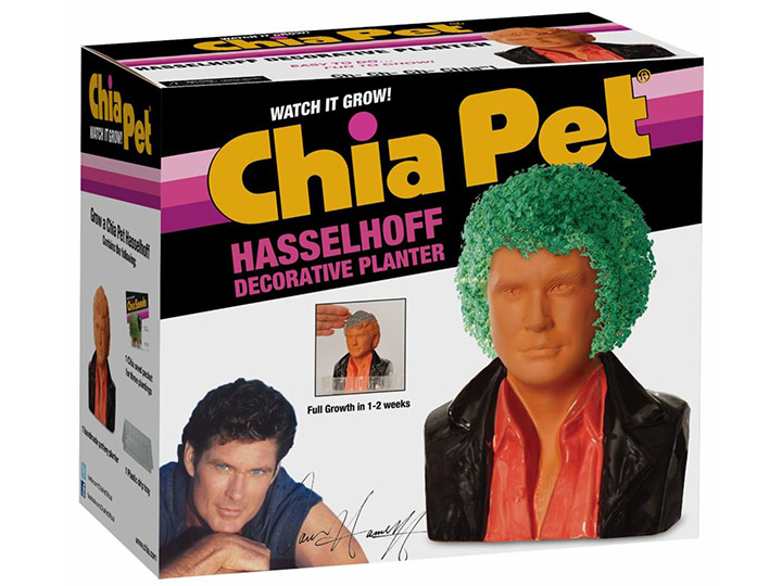 David Hasselhoff Chia Pet Gallery Image 1